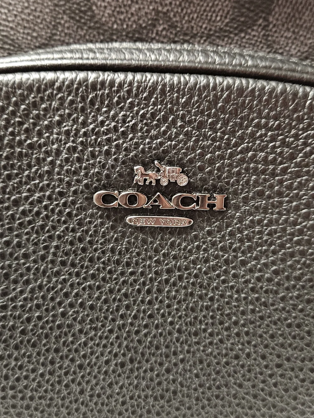Court Backpack In Signature Canvas